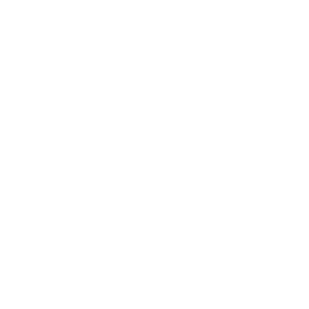 A simple outline of a rosette or award ribbon, symbolizing achievement or recognition.